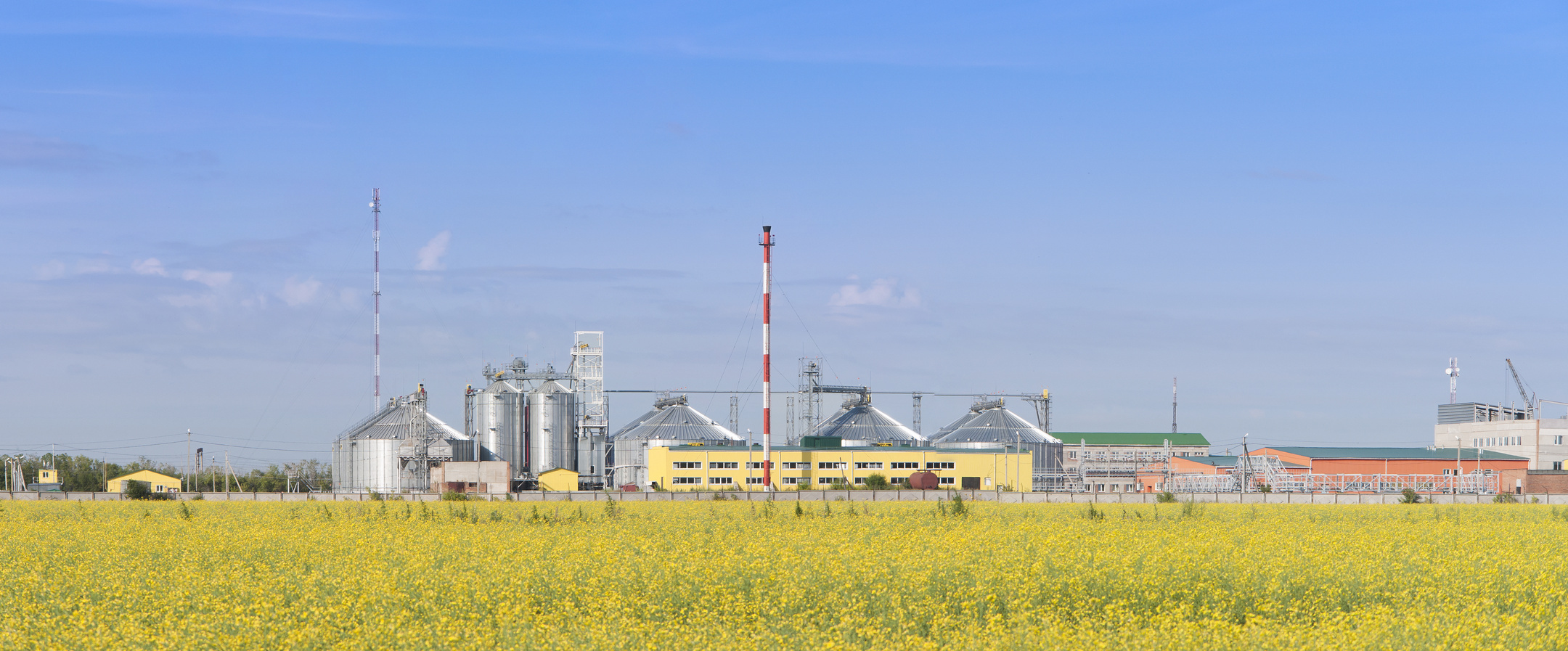 Rapeseed oil factory producing biodiesel.